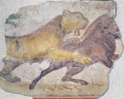 A Tiger Attacking a Wild Boar, from the Merida Amphitheatre by Roman